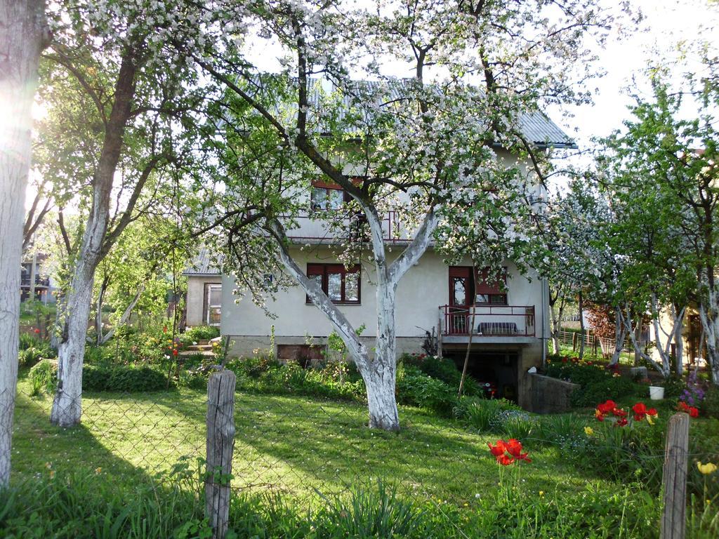 Guest House Krga Korenica Bagian luar foto